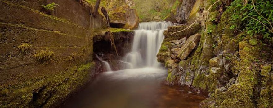 Tillicoultry Glen