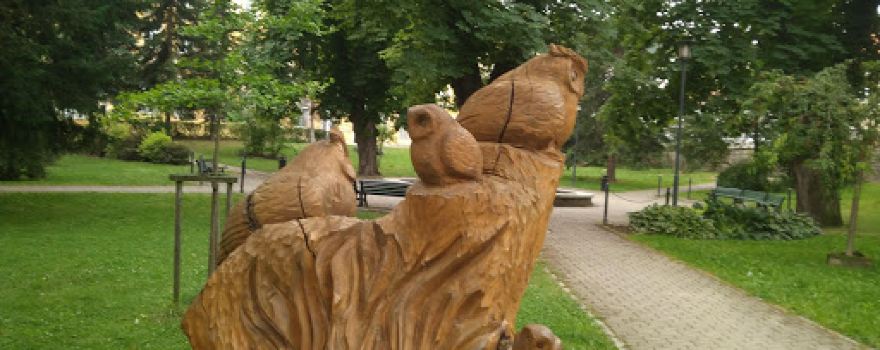 Arboretum lesních dřevin Vimperk