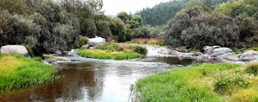 Parque De Merendas