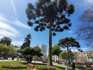 Plaza de la Independencia
