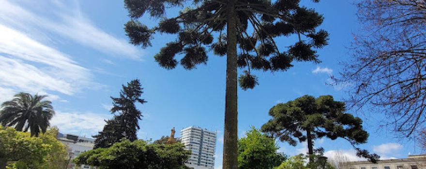 Plaza de la Independencia