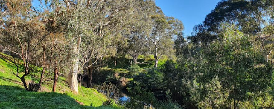 Horseshoe Bend Reserve