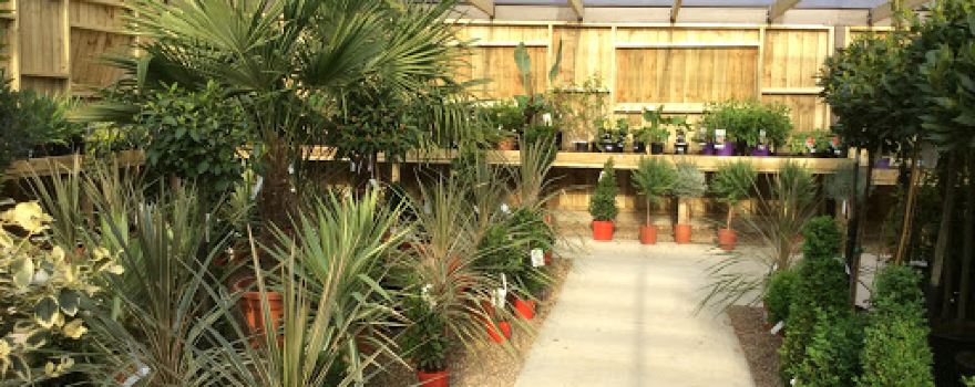 Bolney Nursery