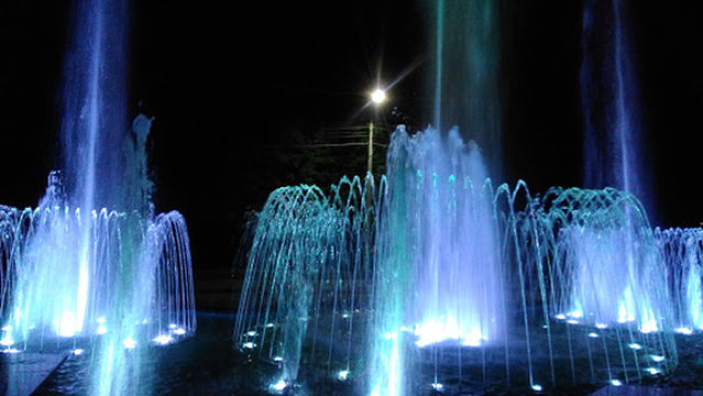 Gorodskoy Park Im. Nikitina