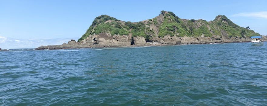 Dolphin Tours