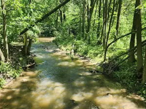 Hobb's Woods