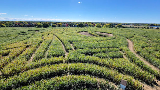 Richardson Adventure Farm