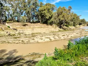 Darling River, Wilcannia