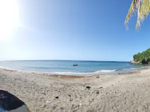 David Beach (Daavee pronunciation)