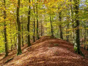 Grottbyn - Skånes Djurparks Camping