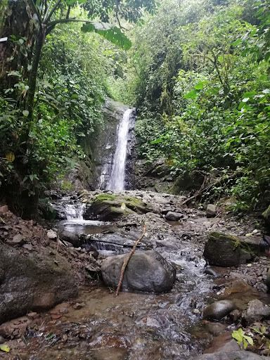 Alambi Reserve