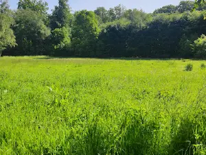 Schlosspark Herten