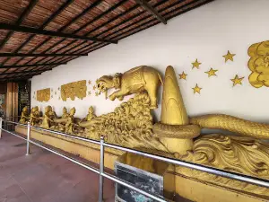 सीजी शाश्वतधाम