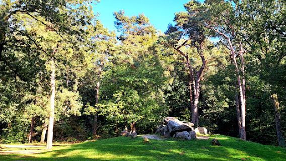 Dolmen D45