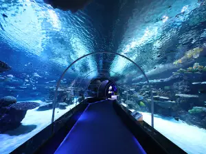 Hamad Port Visitors Center