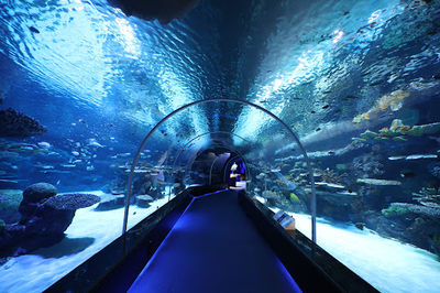 Hamad Port Visitors Center