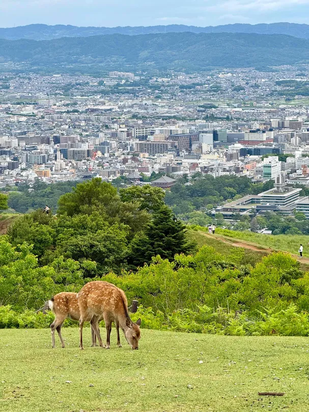4_Mount Wakakusa
