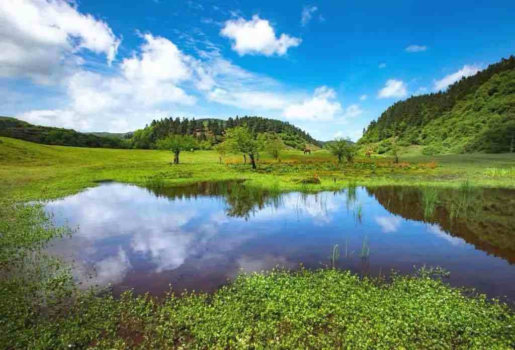 Fairy Mountain Scenic Area