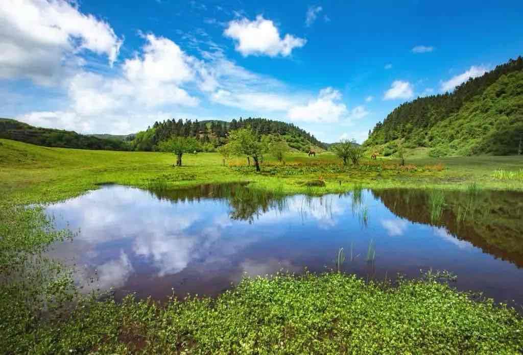 Fairy Mountain National Forest Park/Fairy Mountain Town