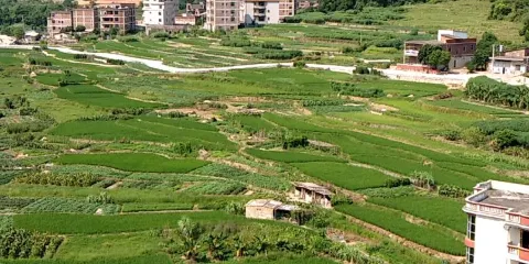 廣惠宮