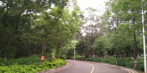 東川區人民公園