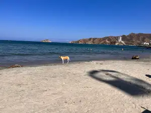 Gaira Beach