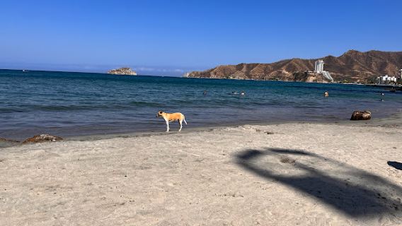 Gaira Beach