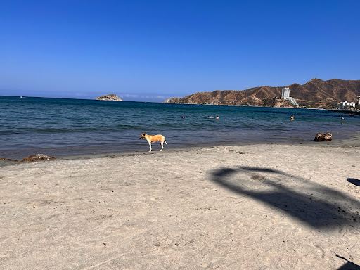 Gaira Beach