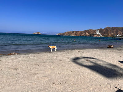 Playa Puerto Gaira