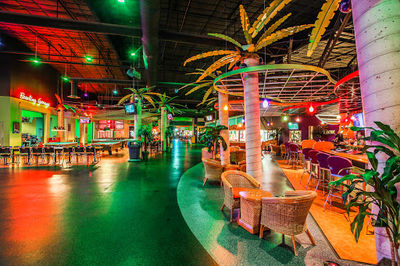 Coconut Bowl at Wild Island