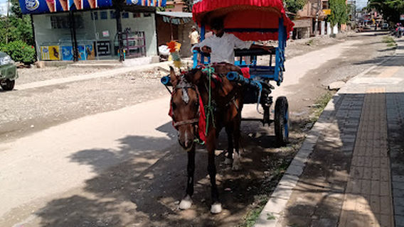 Sauraha Sunset Point