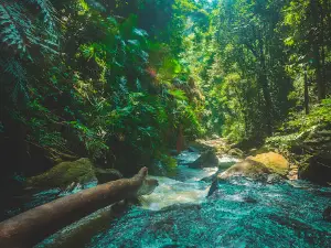 Champawati Water Fall / Chapanala Picnic Spot