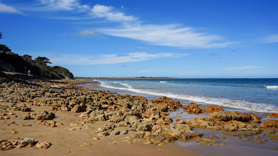 Torquay Beach