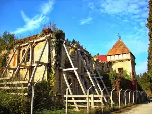 Castle Opeka