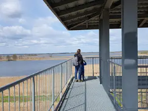 Stawy Przemkowskie - Wieża