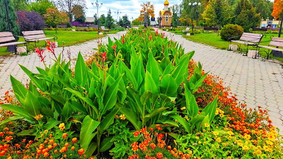 Shakhtarsʹkyy Skver