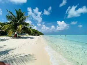 Kalpitty Island Lakshadweep