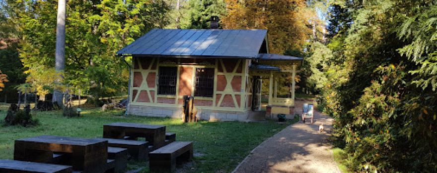 Arboretum Bukovina