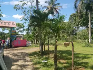 The little beach resort buoy