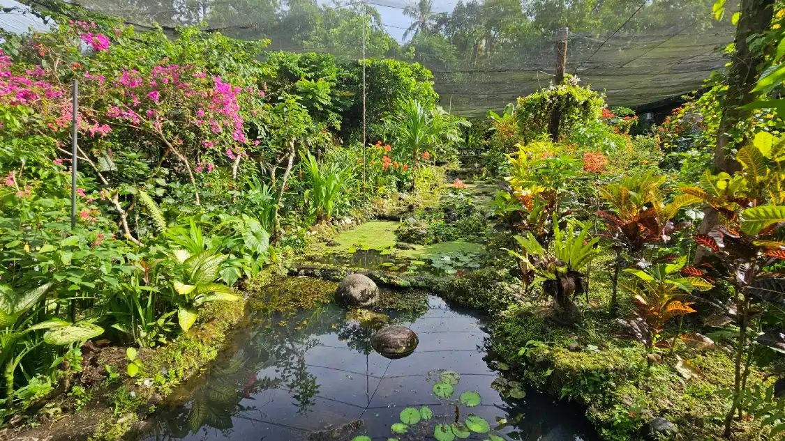 Hotels near Bali Butterfly Park