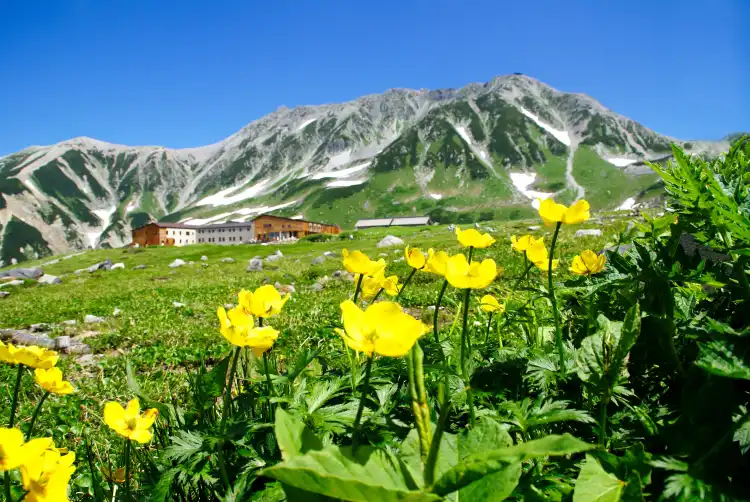 Nakaniikawa District