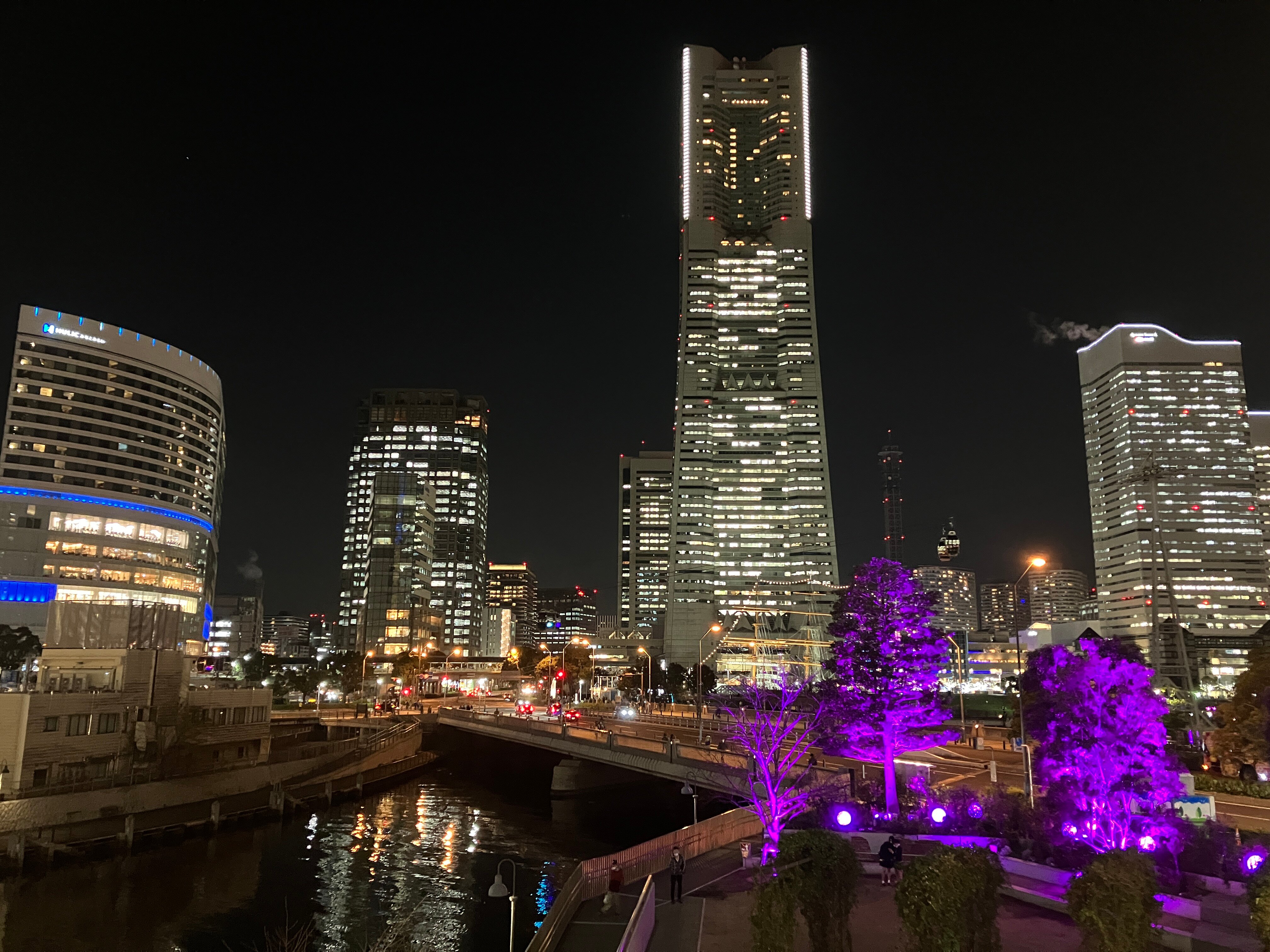 横浜 ランドマークタワー 69階スカイガーデン展望台 入場Eチケット 予約