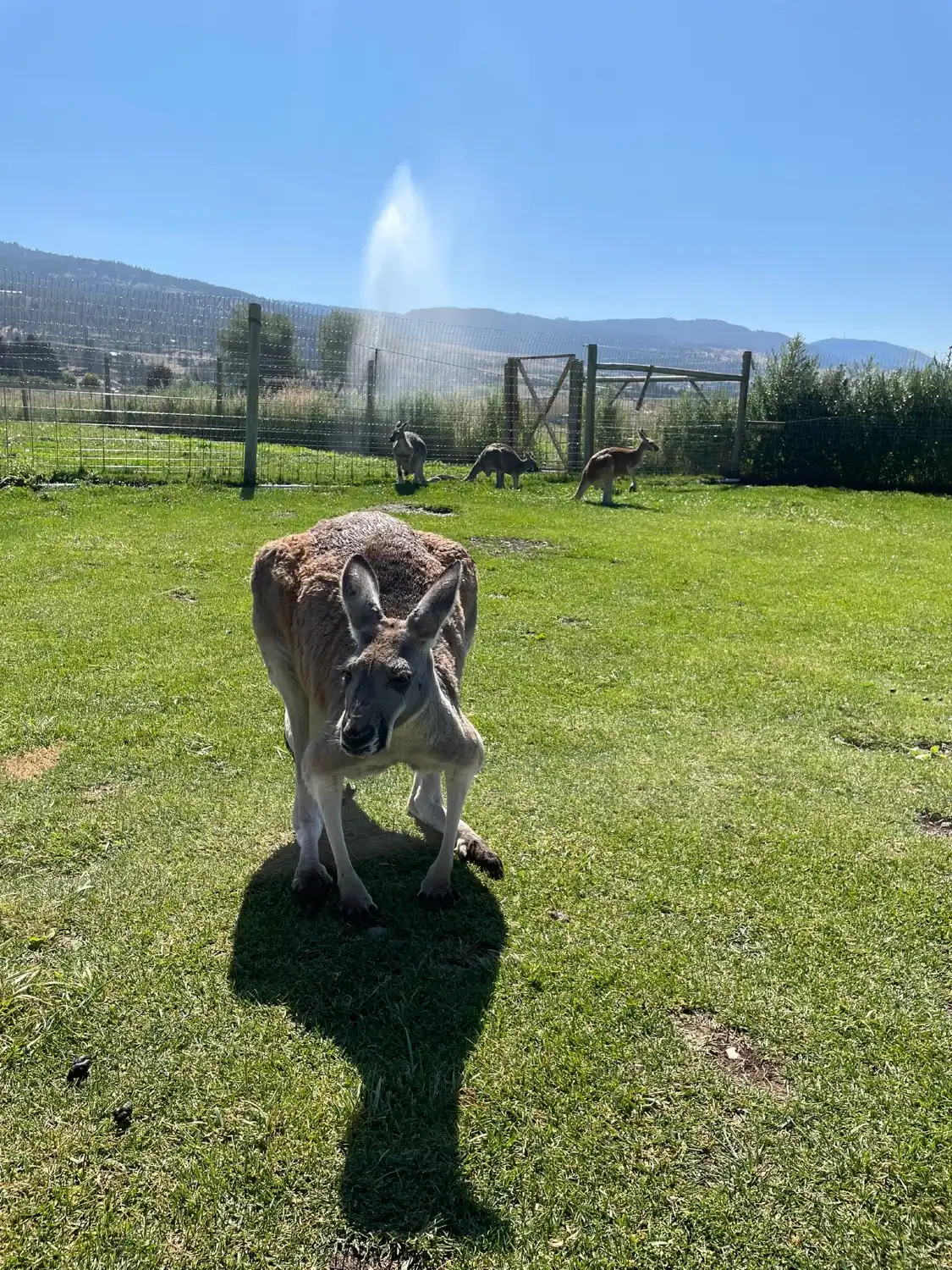 Hotels near Kangaroo Creek Farm