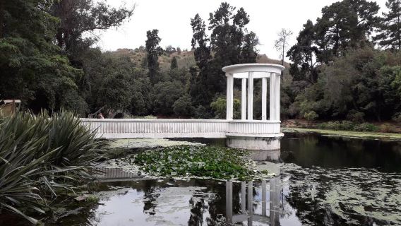 Viña del Mar National Botanical Garden