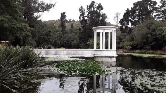 Viña del Mar National Botanical Garden