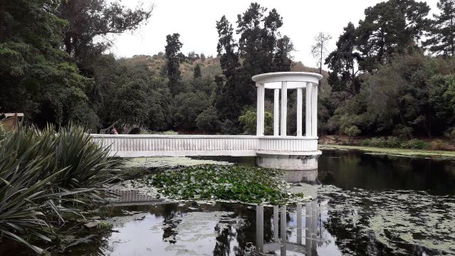 Viña del Mar National Botanical Garden