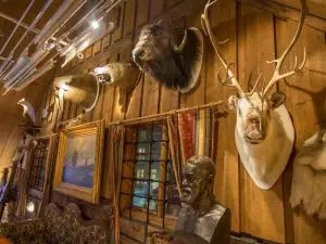 The Polar Museum