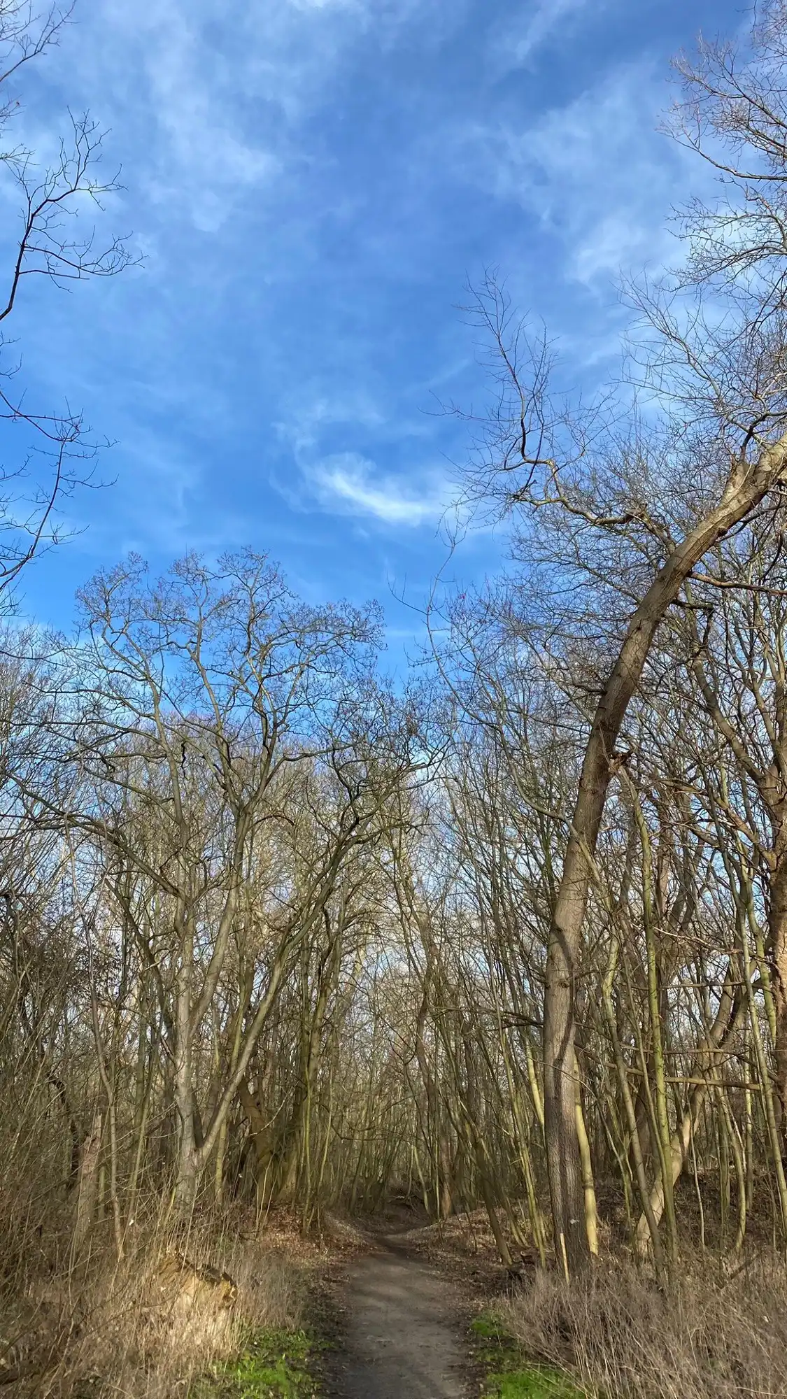 Hotels near Nature Reserve of Westhoek