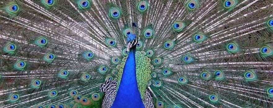 Cape May County Park & Zoo