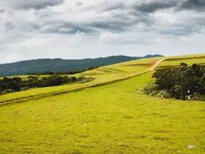 Moon Plains